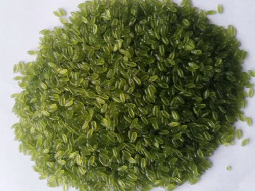 玉米雜糧設(shè)備,黃金米設(shè)備,玉米雜糧面條設(shè)備,雜糧速融粥設(shè)備,雜糧方便面設(shè)備,長(zhǎng)春市盛達(dá)食品工業(yè)研究所機(jī)械廠(chǎng)