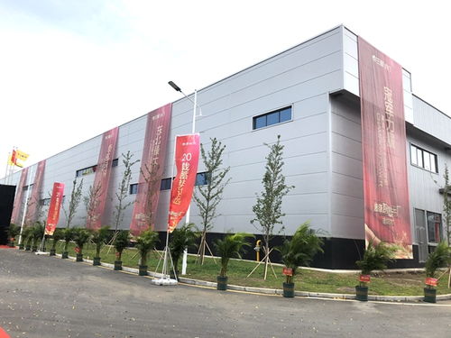 三峰木門超級(jí)智慧工廠落成啟動(dòng)儀式盛大舉行